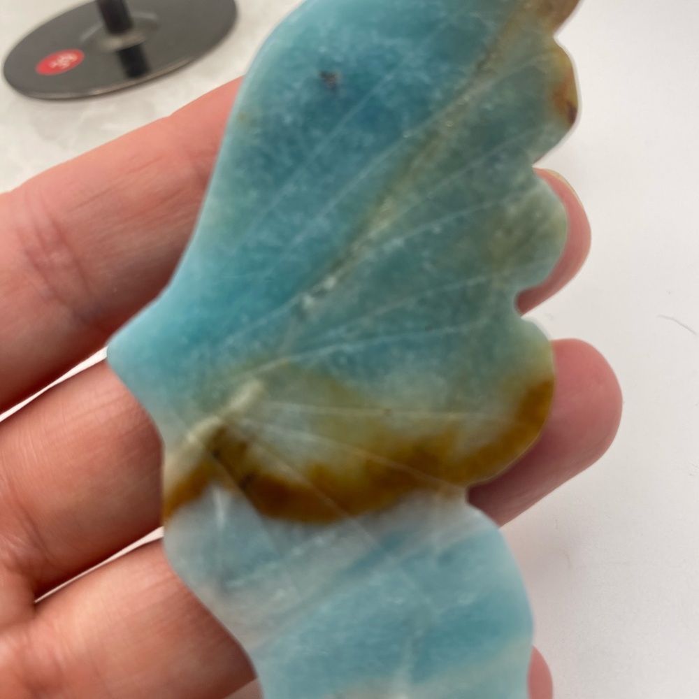 Hemimorphite Butterfly Wings with Stand - Picture 3 of 4